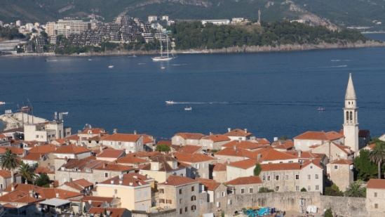 P1590884.jpg