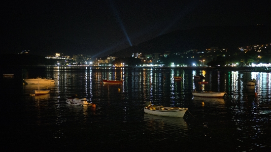 P1580932.jpg