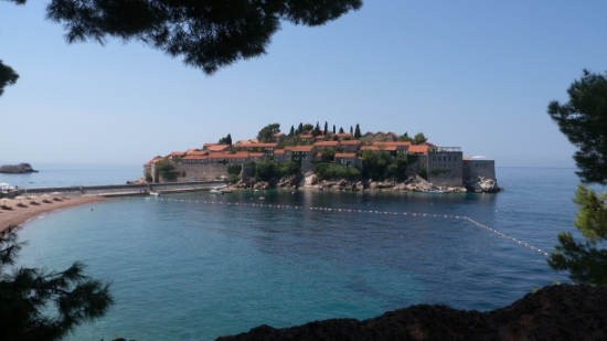 P1590008.jpg