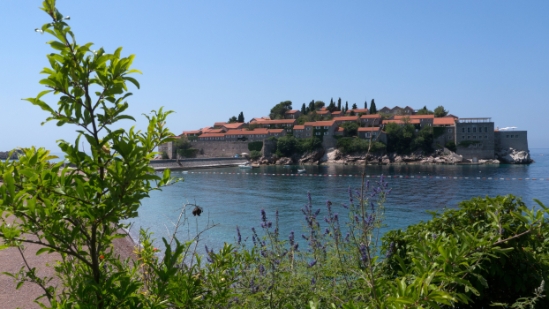 P1590041.jpg