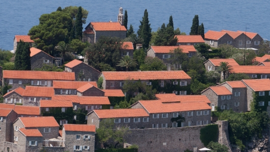 P1590079.jpg