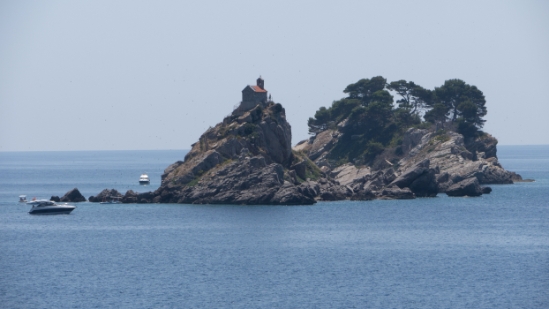 P1590157.jpg
