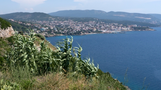 P1590179.jpg