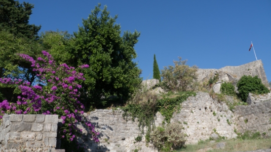 P1590300.jpg