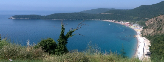 P1590340.jpg