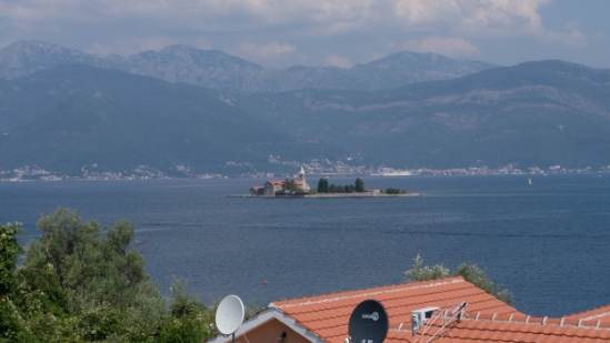 P1590360.jpg