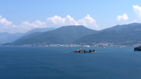 P1590384.jpg