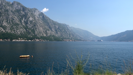 P1590632.jpg