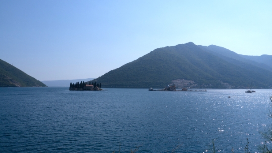 P1590669.jpg
