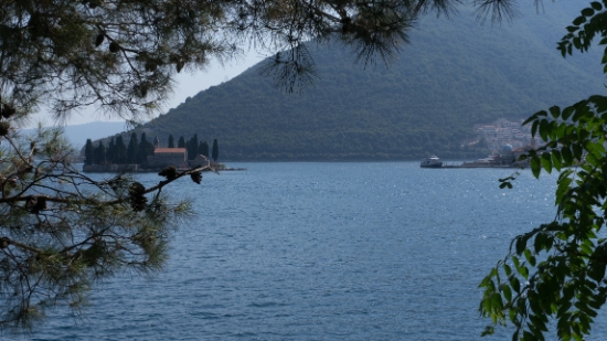 P1590678.jpg