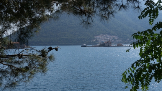 P1590679.jpg