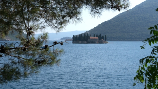 P1590680.jpg