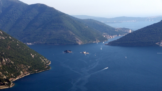 P1590761.jpg