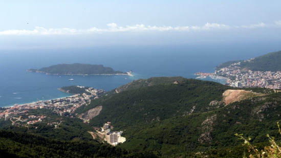 P1590919.jpg