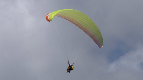 P1590936.jpg