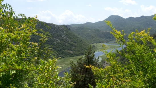 P1600022.jpg