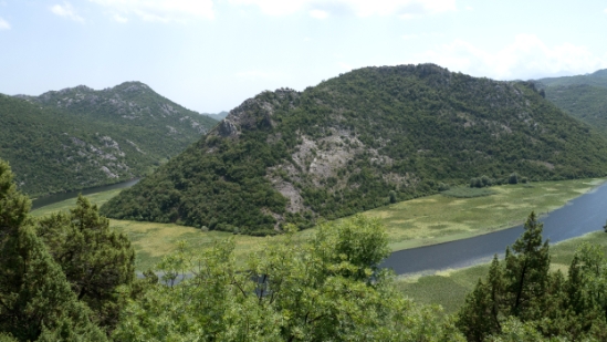 P1600023.jpg