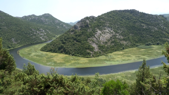 P1600025.jpg