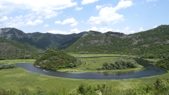P1600044.jpg