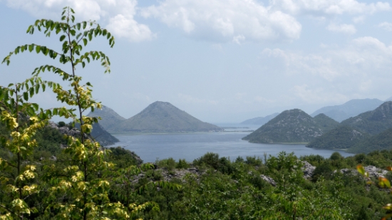 P1600066.jpg