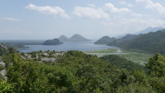P1600069.jpg