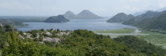 P1600070.jpg