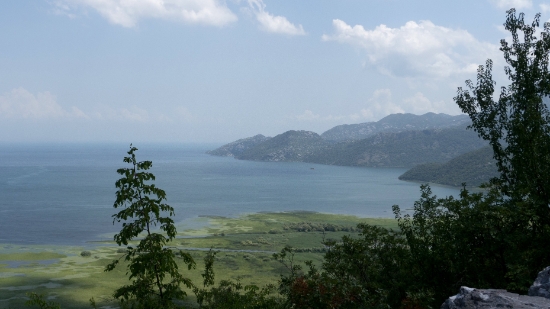 P1600088.jpg