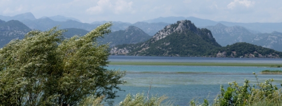 P1600091.jpg