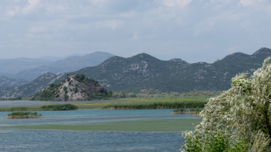 P1600094.jpg