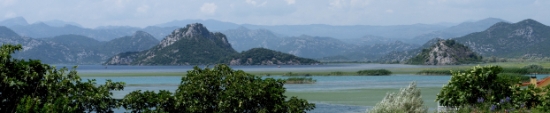 P1600095.jpg