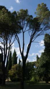 P1600227.jpg