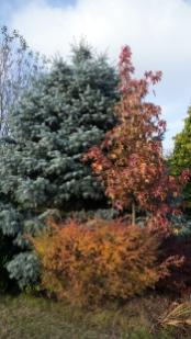 P1610533.jpg