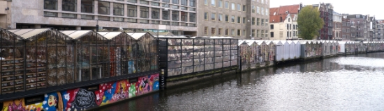 P1620105.jpg