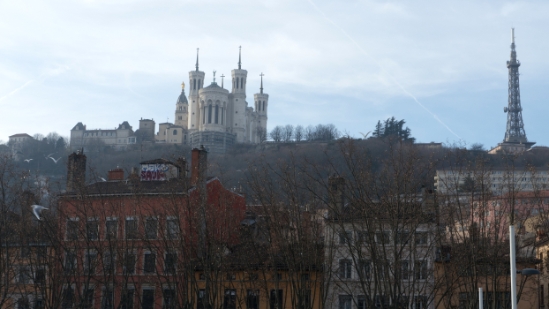 P1620873.jpg