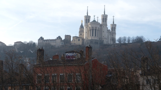 P1620874.jpg