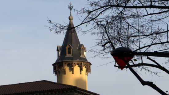 P1620938.jpg