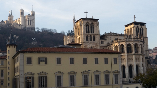 P1620973.jpg