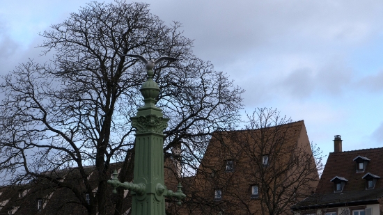 P1630666.jpg