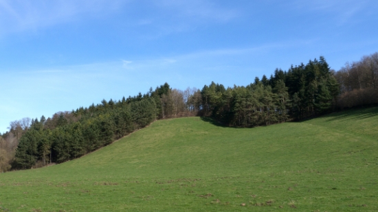 P1650126.jpg