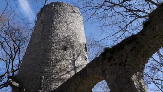 P1650156.jpg