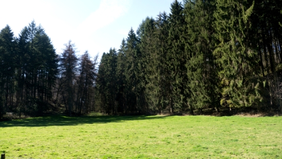 P1650221.jpg