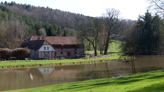 P1650258.jpg