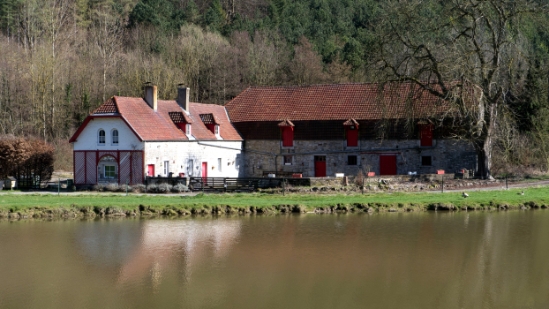 P1650262.jpg