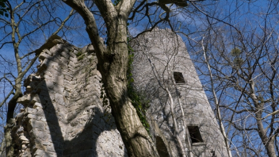 _1650167.jpg
