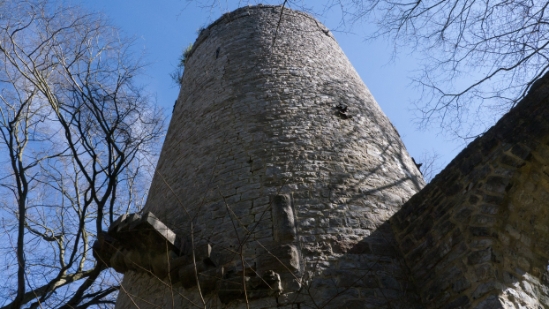 _1650168.jpg