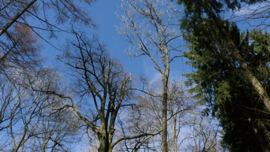 _1650179.jpg