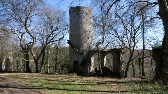 _1650193.jpg