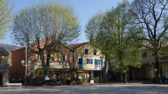 P1650734.jpg