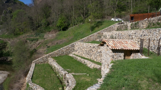 P1650752.jpg