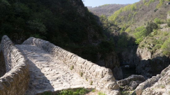 P1650765.jpg